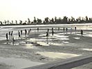Joal à marée basse 1
