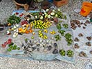 Marché de Fadiouth