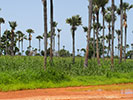 Régioon du Siné-Saloum - 1