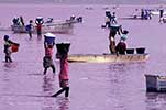 Lac Rose du Sénégal - 3